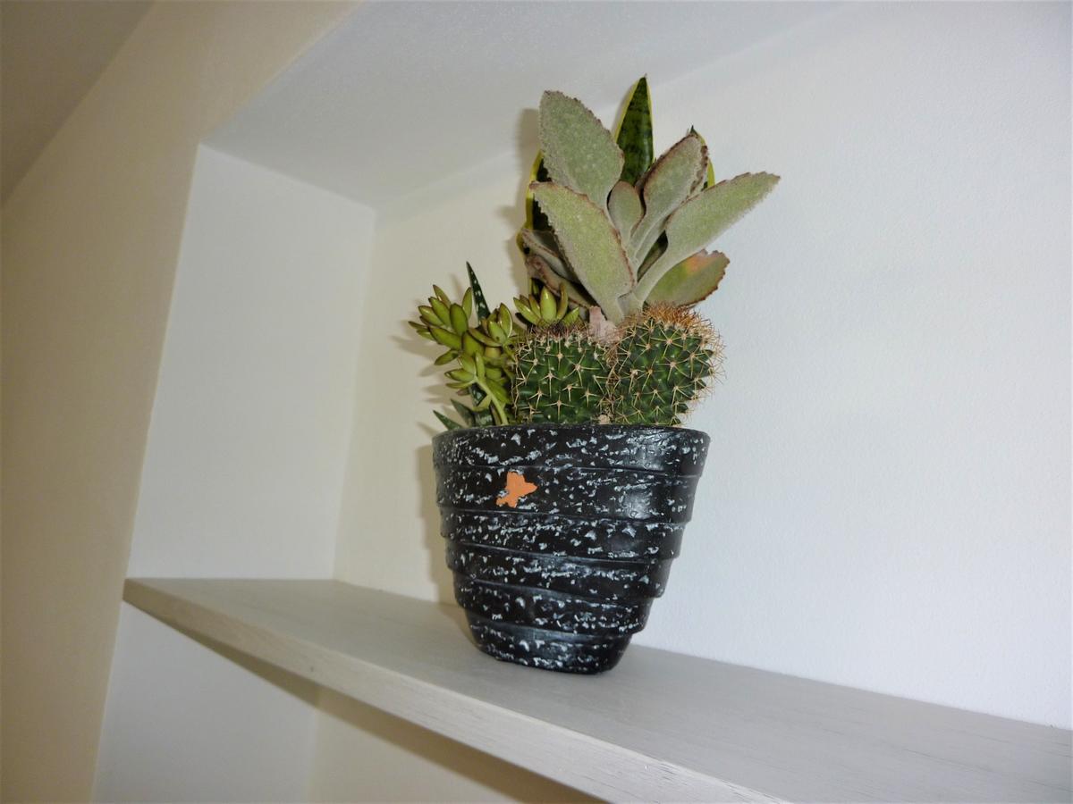 Apartment Trentino - Casa Ai Tolleri *